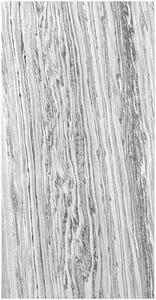 AKUSTICKÝ PANEL velikost: 52/104/0.7 cm Jangal - Online Only tapety, Online Only