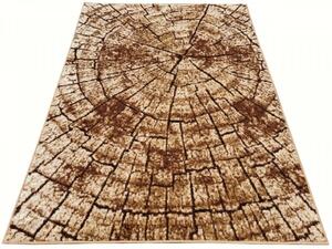 Moderní kusový koberec CHAPPE CHE0890 - 200x300 cm