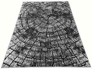 Moderní kusový koberec CHAPPE CHE0980 - 250x350 cm
