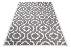 Moderní kusový koberec CARLET GANA CG0010 - 160x230 cm
