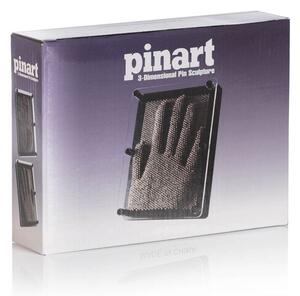 3D obraz z hřebíků - Pinart
