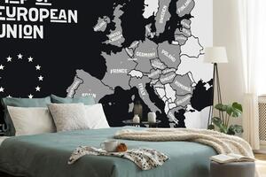 Tapeta černobílá mapa s názvy zemí EU