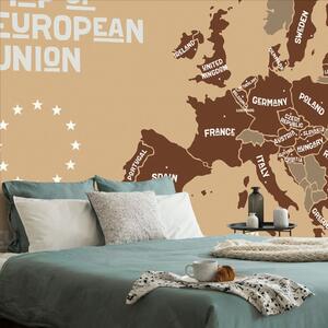 Tapeta hnědá mapa s názvy zemí EU