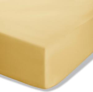 Žluté napínací perkálové prostěradlo 90x190 cm Easy Iron Percale – Catherine Lansfield