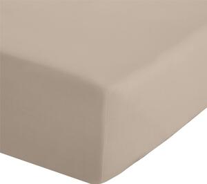 Světle hnědé napínací perkálové prostěradlo 90x190 cm Easy Iron Percale – Catherine Lansfield