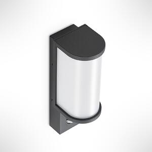 Jokum LED Venkovní Nástěnné Svítidlo s Sensor Graphite
