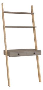Ragaba LENO Ladder Shelf Desk 79x183cm – Beaver Brown