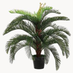 Exteriérová umělá rostlina Palma Cycas