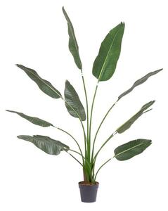 Exteriérová umělá rostlina Strelitzia