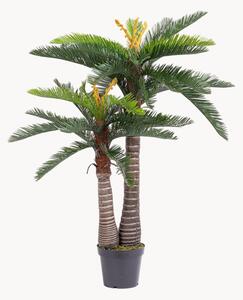 Exteriérová umělá rostlina Cycas