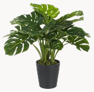 Exteriérová umělá rostlina Philodendron