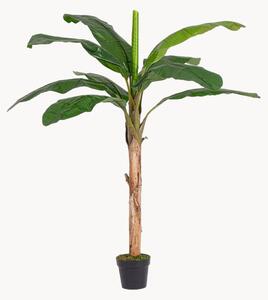 Exteriérová umělá rostlina Banana