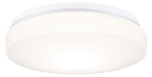Stropní Lampa Paulmann, Axin, stmívatelné, Bílá, Koupelna, Plast