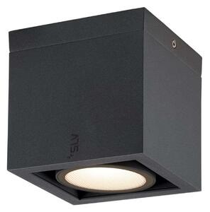 Eskina Frame Stropní Lampa 3000/4000K Anthracite