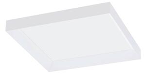 STROPNÍ LED SVÍTIDLO, 45/45/4,5 cm Eglo - Online Only svítidla, Online Only