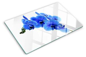 Skleněná deska do kuchyně Modré orchideje ddk-nr-wm-00006546