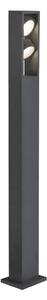 LA 1005439 ESKINA FRAME 125 Pole double stojací svítidlo antracit 27 W 3000/4000 K 95° - BIG WHITE (SLV)