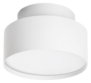 Rabalux 71325 - LED Stropní svítidlo OVIDIA LED/24W/230V 3000K bílá