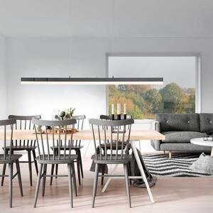 Paul Neuhaus Závěsné LED svítidlo SINA, 45W, d. 179 cm, CCT 2700-5000K