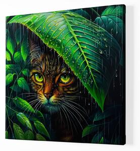 Obraz na plátně - Kočka se skrývá pod listem FeelHappy.cz Velikost obrazu: 60 x 60 cm