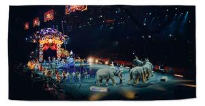 Sablio Ručník Cirkus - 30x50 cm
