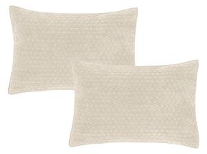 Povlaky na polštáře v sadě 2 ks 50x75 cm Attica Velvet Embroidered – Bianca