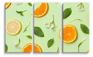 Sablio Obraz - 3-dílný Citrus a květ - 120x80 cm