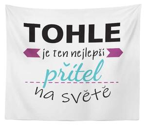 Sablio Deka Tohle je ten nejlepší přítel na světě: 150x120 cm