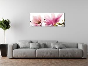 Obraz na plátně Růžové magnólie Rozměry: 60 x 40 cm