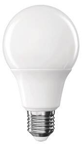 LED ŽÁROVKA E27 XXXL - Žárovky