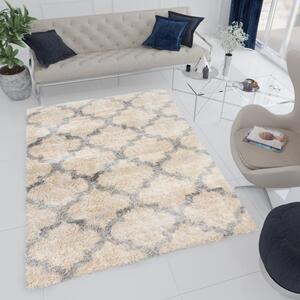 Chemex Moderní koberec Versay Shaggy - mřížka - béžový Rozměr koberce: 80x150 cm