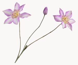 Sada umělých květin Clematis, 2 díly