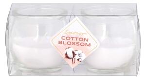 Emocio Sklo 56x55 mm 2 ks v plastové krabičce Cotton Blossom vonná svíčka
