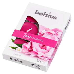 Bolsius Aromatic 2.0 Čajové 6ks Peony, vonné svíčky