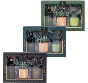 Sada dárková Sklo 1ks vonná svíčka 62x75mm + diffuser100ml + kaktus v cementovém květináči, mix