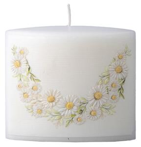 Elipsa svíčka Daisy Meadow 115x53x100mm