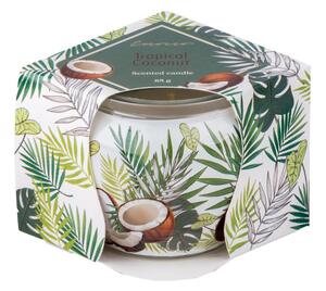 Emocio Sklo Dekor 70x62 mm Tropical Coconut, vonná svíčka