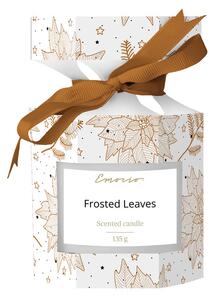 Emocio Sklo 72x78 mm v dárkové krabičce Frosted Leaves, bílá, vonná svíčka (Snowflakes)