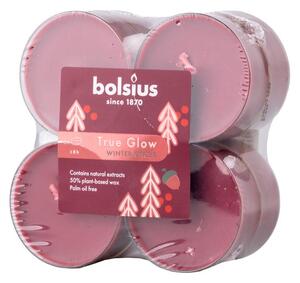Bolsius Čajové Maxi 8ks Winter Spices vonné svíčky