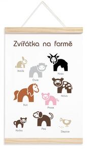 Pieris design Naučný plakát - domácí zvířátka v češtině
