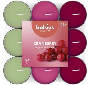 Bolsius Čajové 18ks Cranberry basic tříbarevné, vonné svíčky