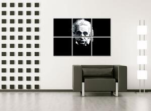 Ručně malovaný obraz POP Art Einstein 6 dílů Einstein