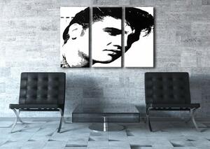 Ručně malovaný obraz POP Art ELVIS 3 dílný