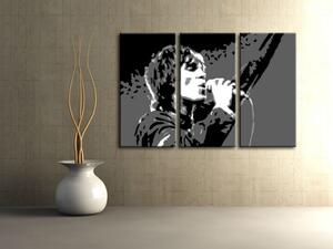 Ručně malovaný obraz POP Art Ian Brown, 3 díly ib2