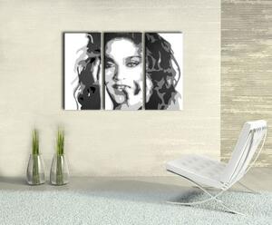 Ručně malovaný obraz POP Art MADONNA 3 díly ma3