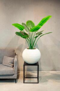 Stripe květináč Globe, Ø 50/70 cm, výška 40/56 cm Rozměry: Průměr 50 cm, Výška 40 cm