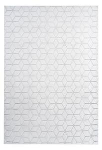 KOBEREC, 80/150 cm šedá, bílá - Online Only koberce & rohožky, Online Only