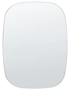 Nástěnné zrcadlo Biff (stříbrná). 1078058