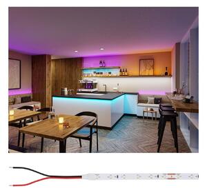 P 76011 Pro LED Strip Silver P25 5m 20W 300lm/m 60LEDs/m - PAULMANN