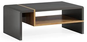 Konferenční stolek FRED 100x60 cm antracit/dub artisan